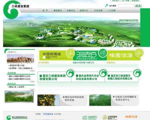 重慶三峽建設(shè)集團